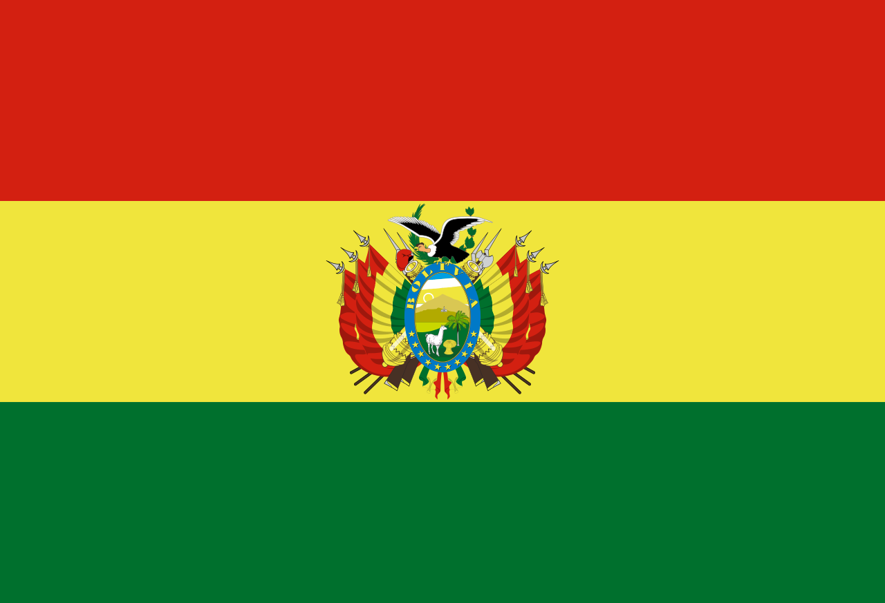 Bandera 6